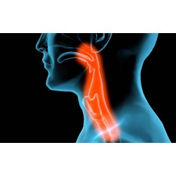 Cough & Sore Throat Relief (103)